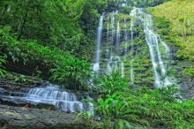 Parque Nacional Los Katíos